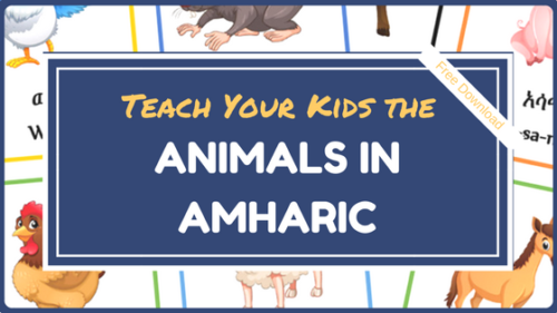 Teach Your Kids the Animals in Amharic – Sheba's Jewels
