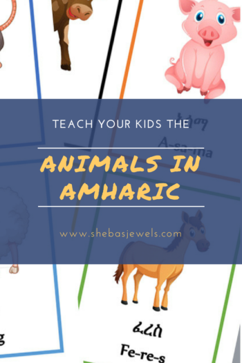 Teach Your Kids the Animals in Amharic