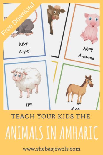 Teach Your Kids the Animals in Amharic