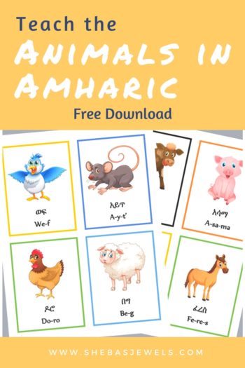 Teach the Animals in Amharic