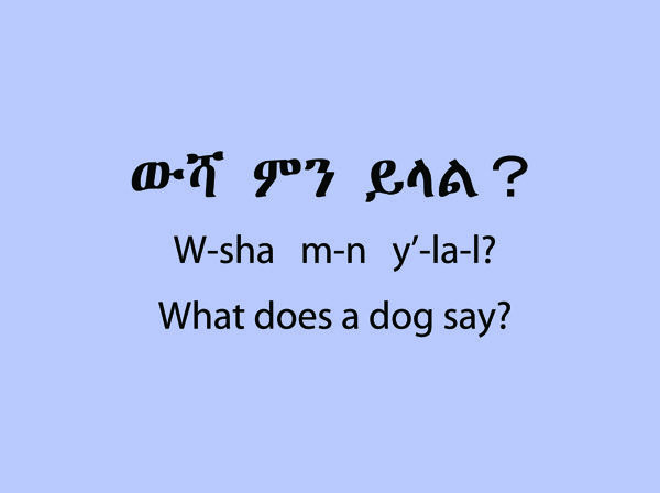 Let's Learn the Amharic Animals Dog Page 1
