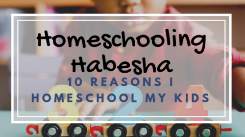 Homeschooling Habesha: Why I homeschool my kids